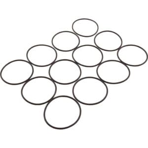 Twelve black rubber O-rings on white background.