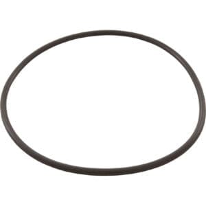 Black rubber O-ring on white background.